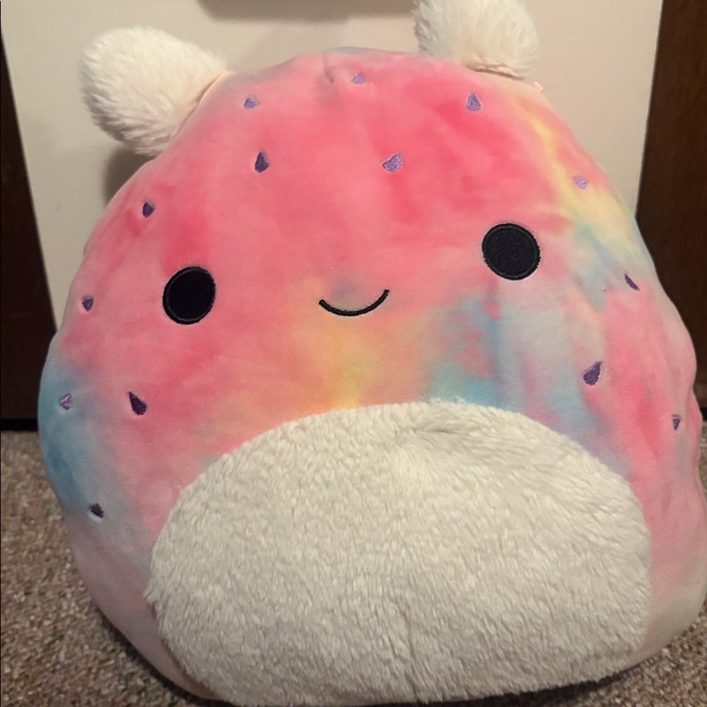 Squishmallows Multicolor Plush with Ears